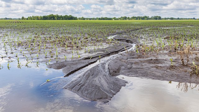 Climate Change