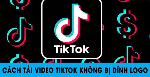 TikTok influencer in India