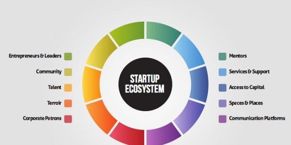 startup ecosystem