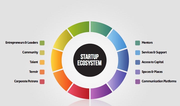 startup ecosystem